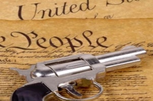 Constitution Guns